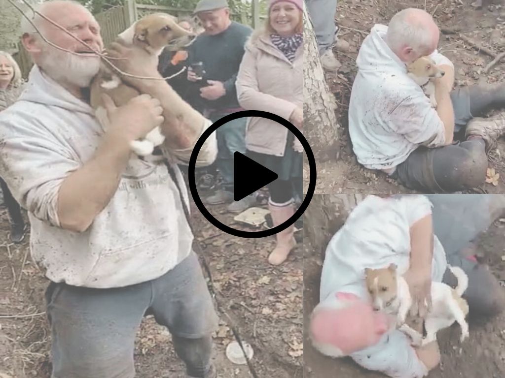 A Touching Reunion: Man’s Tearful Encounter with Dog Rescued from a Pit After 3 Days