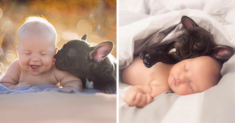 It’s incredibly adorable how a baby and a bulldog, who were both born on the same day, consider each other brothers.