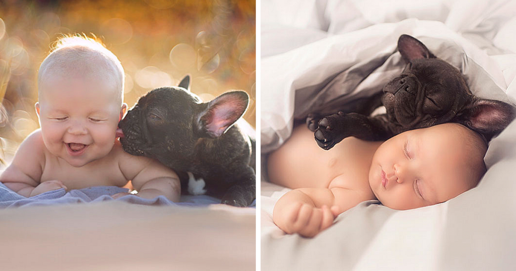 It’s incredibly adorable how a baby and a bulldog, who were both born on the same day, consider each other brothers.
