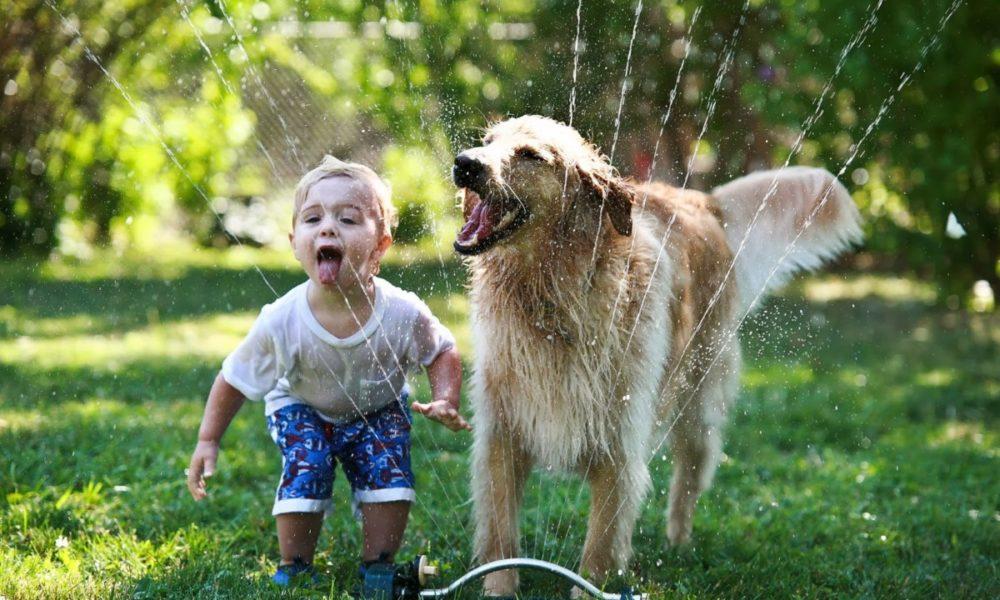 The Relationship Between Pets And Children