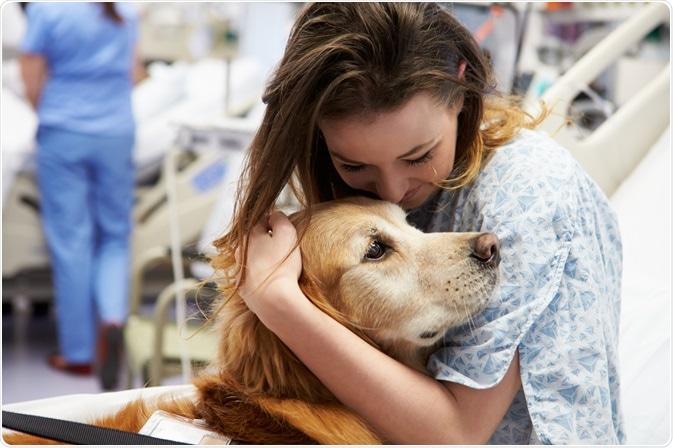 Do Emotional Support & Therapy Dogs Help With Mental Health?