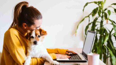 How To Work From Home With Dog
