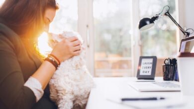 5 Ways To Ensure A Happy Canine “Office Mate”