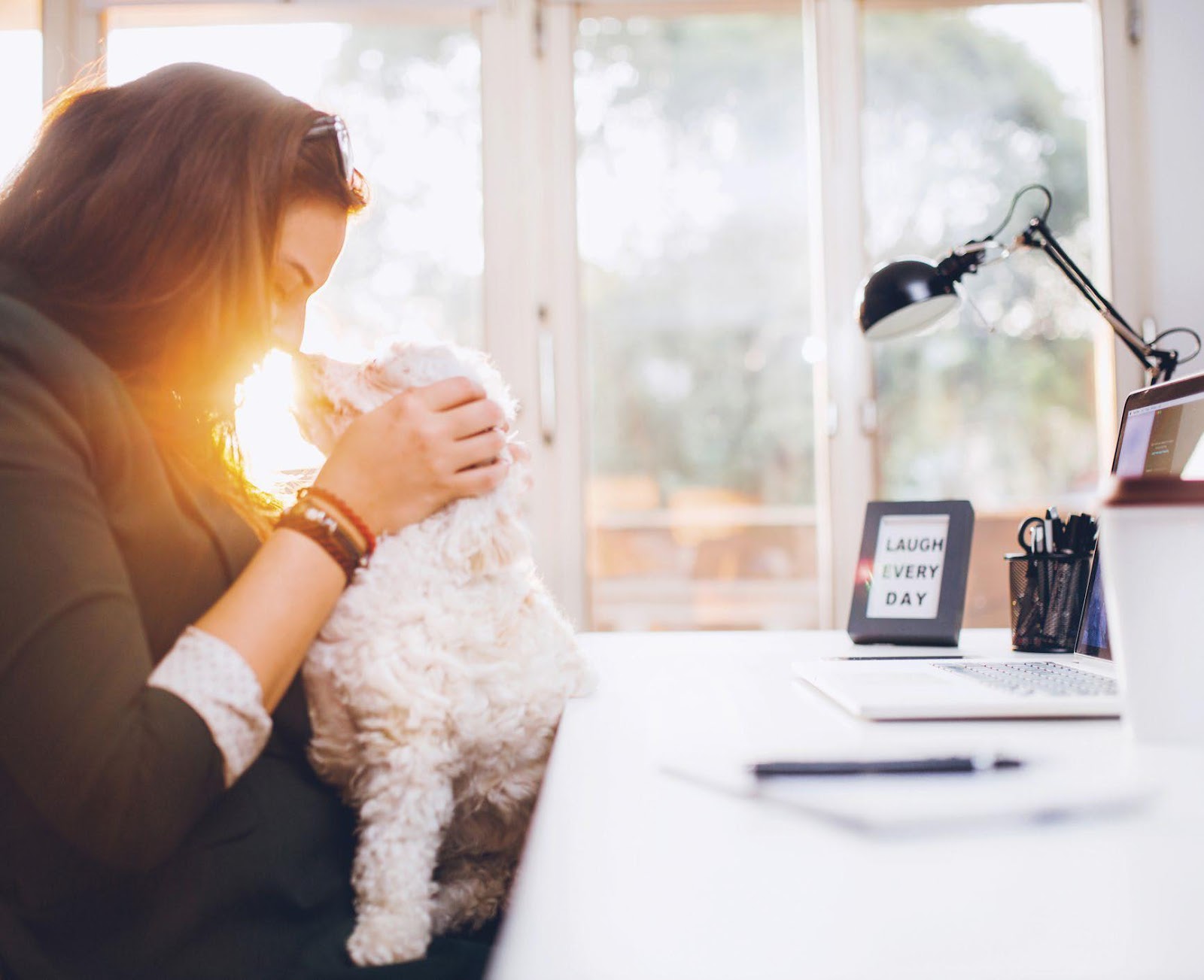 5 Ways To Ensure A Happy Canine “Office Mate”