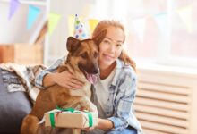 How To Celebrate Your Pet's Adoption Day