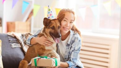 How To Celebrate Your Pet's Adoption Day