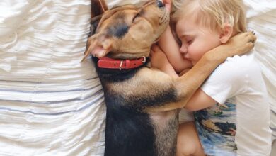 The boy’s unconditional love for his dog is truly admirable and captures everyone’s admiration