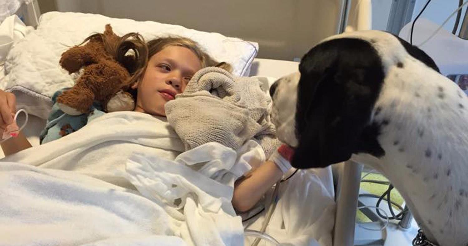 A service dog receives the ‘best day ever’ as an unforgettable tribute for transforming a little girl’s life.