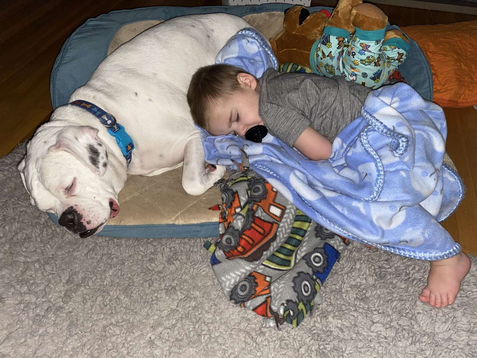 A heartwarming scene: a 5-year-old boy and his loyal canine friend peacefully sleep together, radiating warmth and affection.
