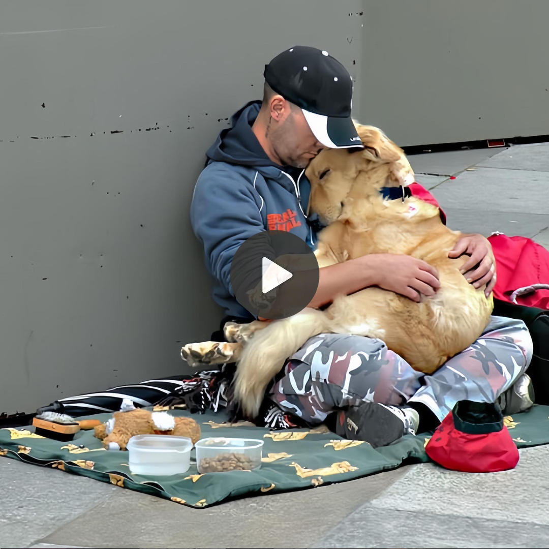 Limitless Love: A Homeless Companion and their Faithful Canine’s Profound Connection, Embracing Serenity Amid Life’s Trials, Enraptured Hearts