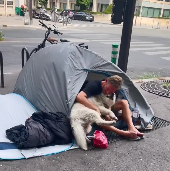 Heartwarming tale: Rescued dog finds solace and loving home with a compassionate man living on the streets.