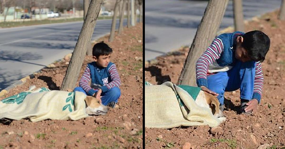 With unwavering determination, the young boy adamantly remains by the side of the stray dog, wounded by a passing vehicle, steadfastly refusing to depart until assistance arrives, evoking heartfelt emotions.