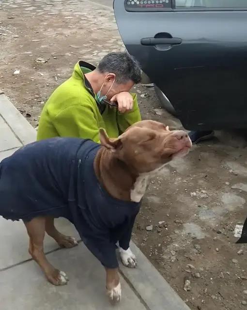 A tearful man embraces his dog after 5 months of being lost on the road, overwhelmed with joy and relief