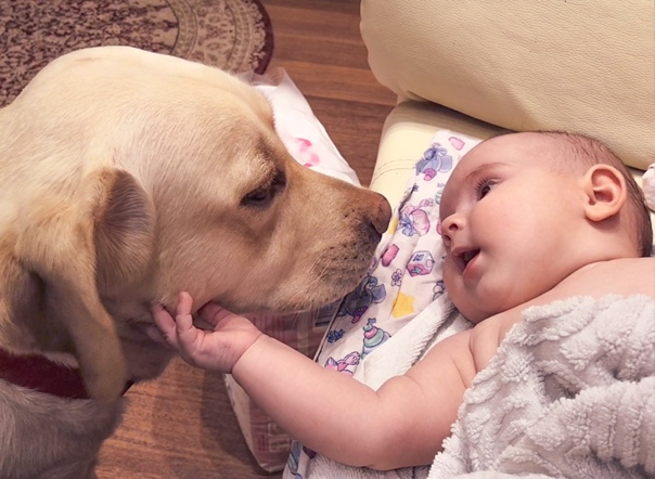 The newborn’s endearing gestures toward the puppy during their first encounter have touched the hearts of millions