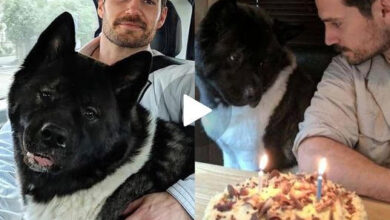 “Leveling Up in Age: How to Celebrate Birthdays Without Breaking the Bank on Gifts”