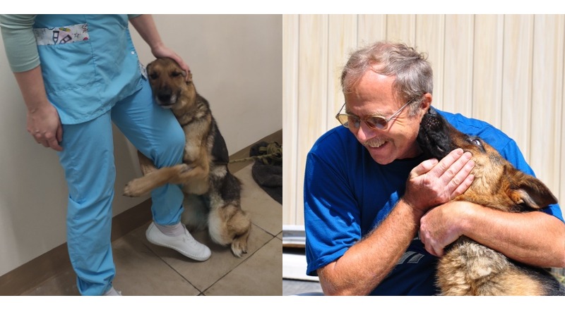 TN After an absence of more than three years, a loyal dog and its loving owner were joyfully reunited at the shelter, their tear-filled embrace resonating with millions and spreading warmth across the globe. TN After an absence of more than three years, a loyal dog and its loving owner were joyfully reunited at the shelter, their tear-filled embrace resonating with millions and spreading warmth across the globe.