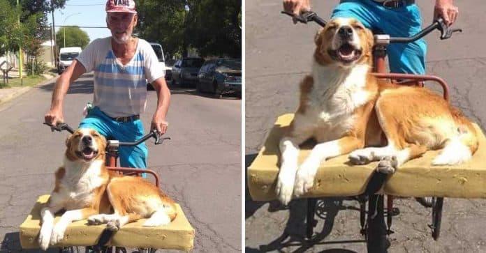 TN With boundless compassion, a 75-year-old man adopted a shelter dog, ferrying his newfound friend on his weathered bicycle. As they traversed the streets, their shared happiness illuminated the surroundings, leaving an indelible mark on all who beheld their heartwarming journey.