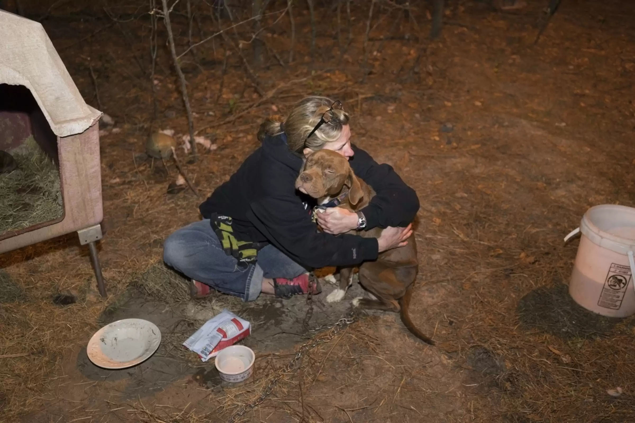 TN After rescuing a dog trapped in the deep forest, a kind-hearted girl gave the dog a warm hug until the owner arrived, reminding us of the power of kindness transcending species boundaries. TN After rescuing a dog trapped in the deep forest, a kind-hearted girl gave the dog a warm hug until the owner arrived, reminding us of the power of kindness transcending species boundaries.