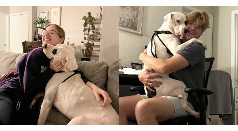 TT TN The dog, adopted from a shelter after over 390 days of waiting, smiles and falls asleep in the arms of its new owner, touching the hearts of millions. TT TN The dog, adopted from a shelter after over 390 days of waiting, smiles and falls asleep in the arms of its new owner, touching the hearts of millions.