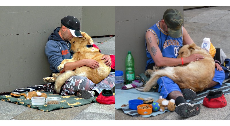 TN The steadfast loyalty of a dedicated dog, who stays faithfully with his homeless owner through all challenges, has moved millions around the globe. This touching story powerfully illustrates the unbreakable bond between humans and their canine friends.
